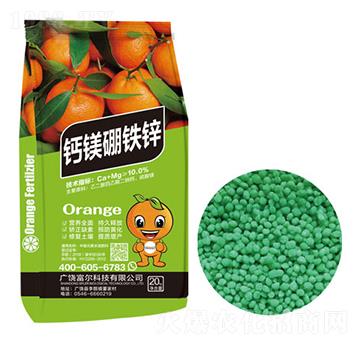 �}�V���F�\-�����Ƽ�