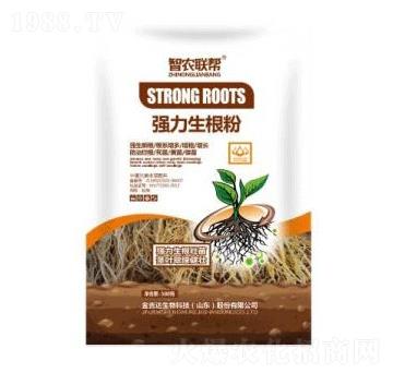 ��(qi��ng)��������-���_(d��)