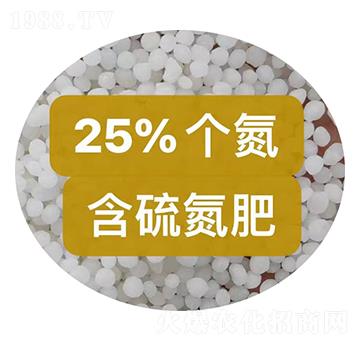25%���򵪷��w��-���r�r�Y