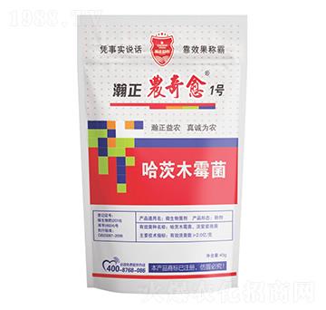 ����ľù��-����r(n��ng)����1̖(h��o)-������r(n��ng)