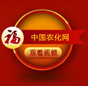 ���ݻ𱬾W(w��ng)�j(lu��)�o��Ұ�����