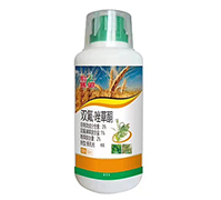 3%�p�������ͪ-�٠�