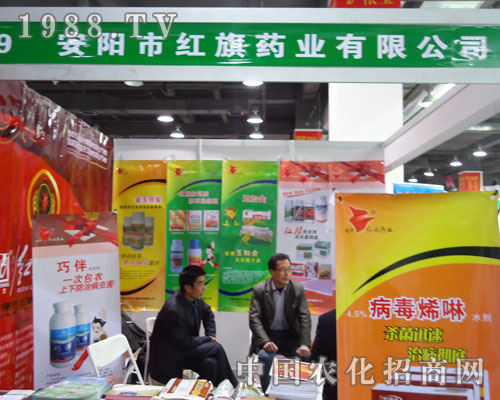 ��ꖼt��ˎ�I(y��)�ںӱ�ʡֲ��������������