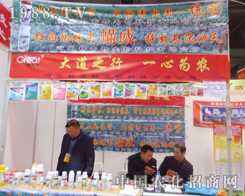 �����������ںӱ�ʡֲ��������������