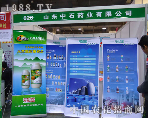 ɽ�|��ʯˎ�I(y��)�ںӱ�ʡֲ����(hu��)�ϵ�����