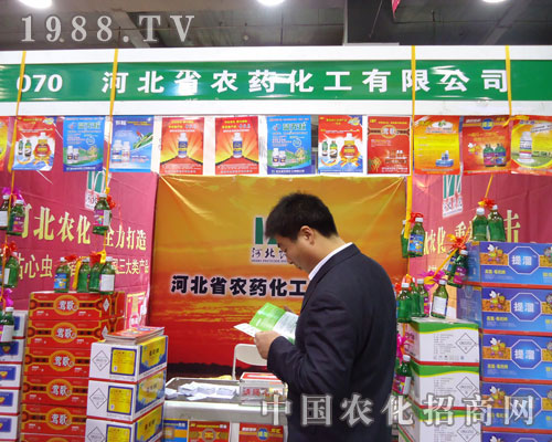 �ӱ�ʡ�rˎ�����ںӱ�ʡֲ��������������