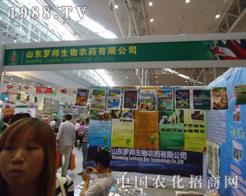 ɽ�|�_������y���½��r��������(chu��ng)�x��