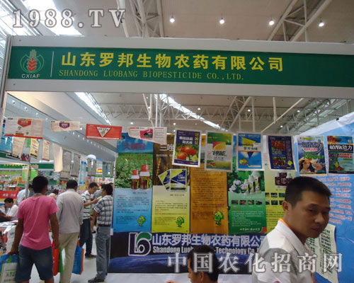 ɽ�|�_������y���½��r��������(chu��ng)�x��