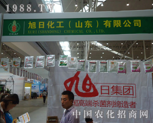 ����ˎ��������!