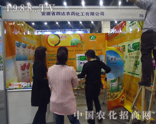 ���_(d��)�������ɿ�