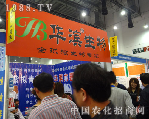 �A�I������΢�����