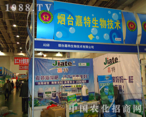 ���_(t��i)�����������Ї�(gu��)ֲ���p����(hu��)չ�L(f��ng)��