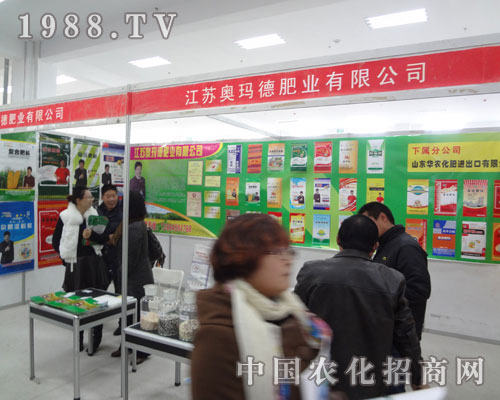 2011���R������K�W�����A���ǈ�