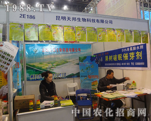     ��������2012��ֲ�����ו������