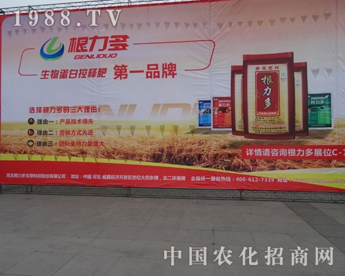 北京根力多參加2013磷復肥展覽會