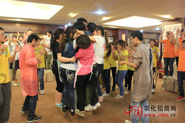 風(fēng)雨同舟讓我理解團隊是什么