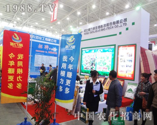 ����������Ŭ����2014����ȫ��ֲ����������