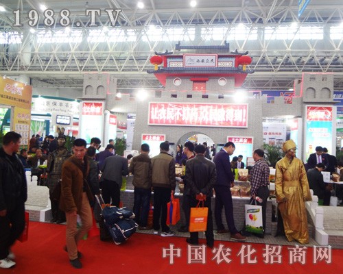 ���������đ��(chu��ng)���������ʮ��ȫ��(gu��)ֲ����(hu��)