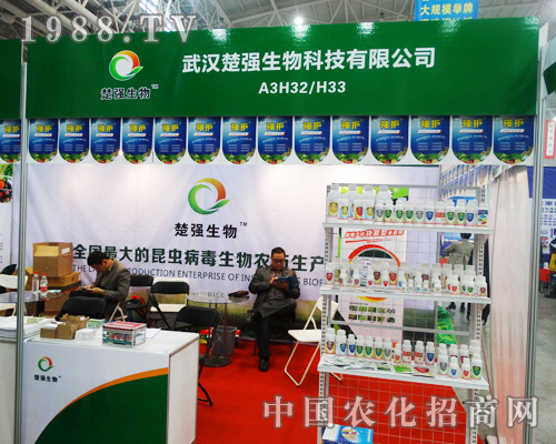 ��h��������ӵ�30��ȫ��ֲ����