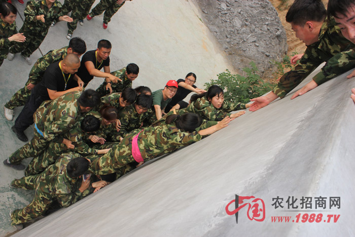 �����y������(zh��n)��ǰ����Ҷ������ľ���������w�F(xi��n)������(zh��n)���ң��۟��F(tu��n)�(du��)�ľ�����