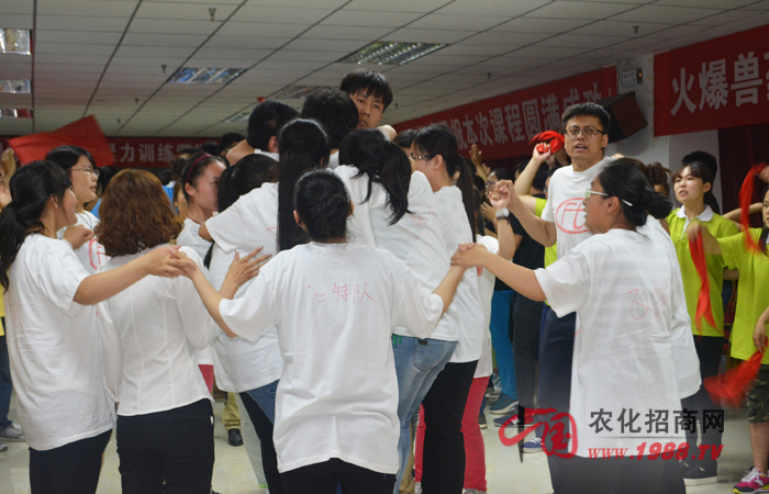 團(tuán)隊榮譽(yù)高于一切