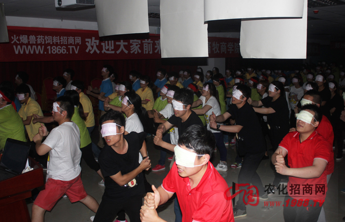 在逆境中成長,在團(tuán)隊中歷練