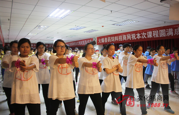 團隊決定你要飛翔的藍天