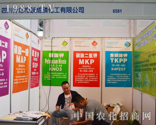 �S���׻����ɹ���չ2015�����r(n��ng)�Y���ו�(hu��)