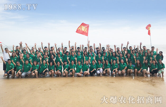 海邊沙灘——清涼一“下”