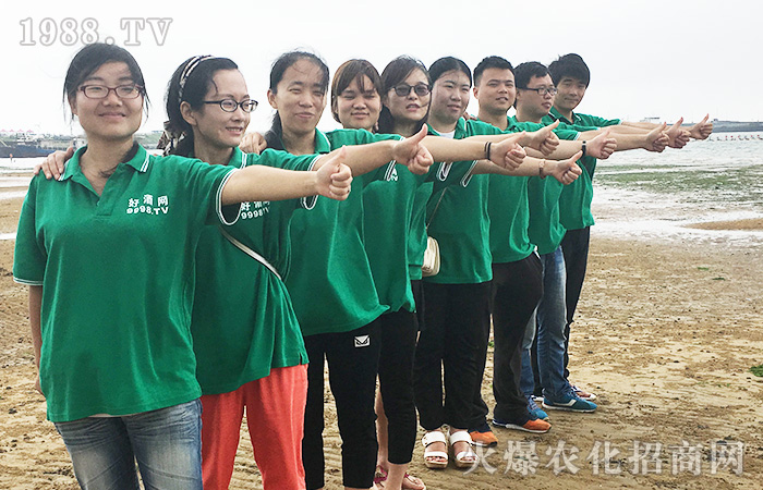 揚(yáng)帆起航正當(dāng)時(shí)