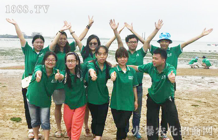 面朝大海 春暖花開