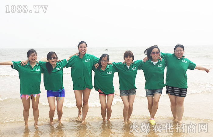 愛上這個(gè)夏天:陽光沙灘比基尼和藍(lán)天