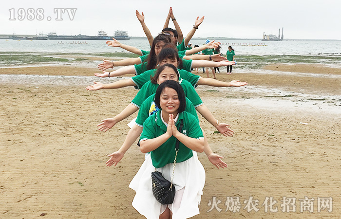 һ����ܺ�߅������