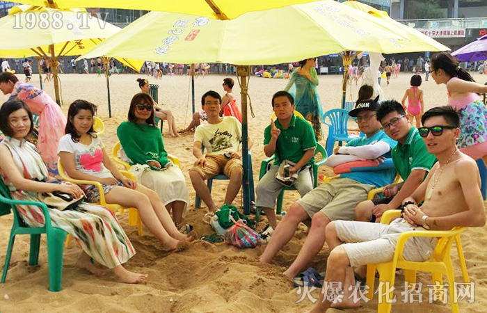 ���M(j��n)�B�Ƹۣ������������w����