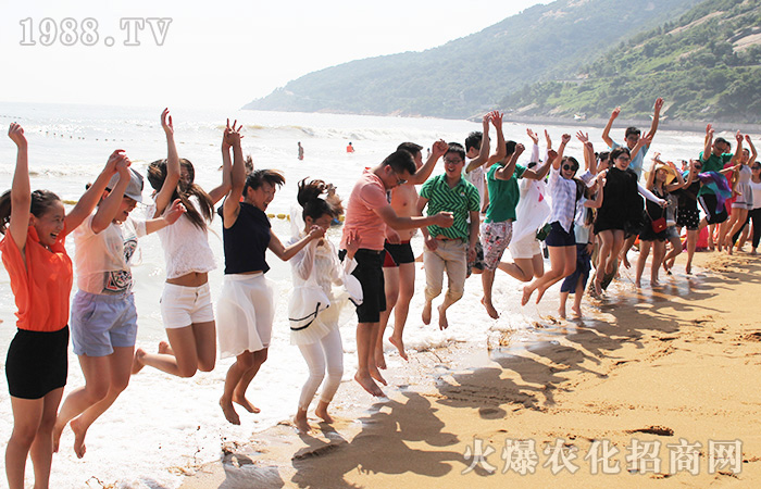 一場視覺的盛宴