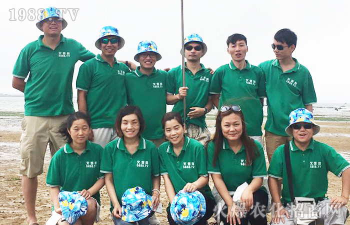     �����ĺ�������������n��