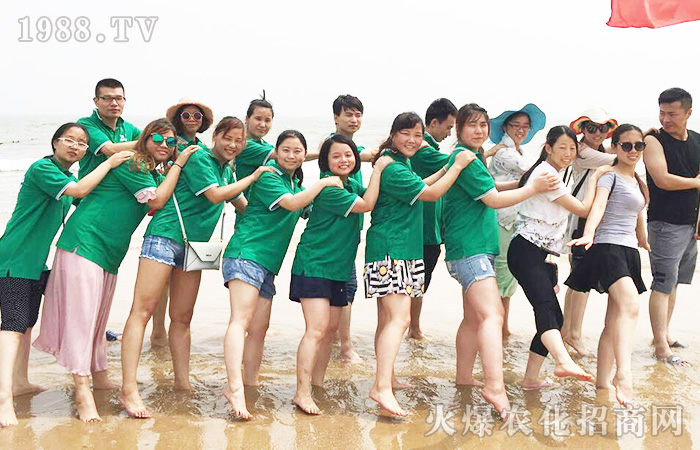 一場視覺的盛宴