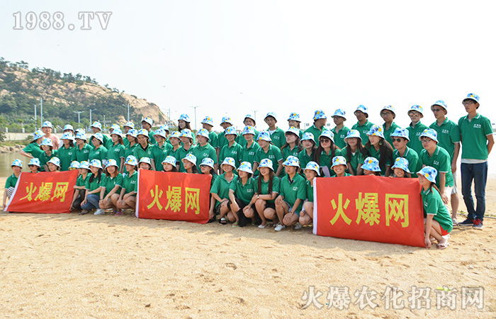 海天相接,我們共度歡樂之旅