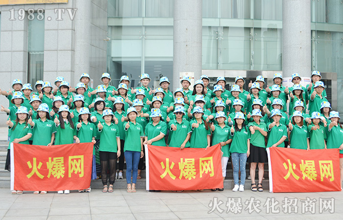 海天相接,我們共度歡樂之旅