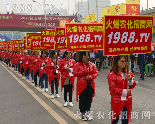 2017��ɽ�|ֲ�������r(n��ng)������Ч����(qi��ng)��