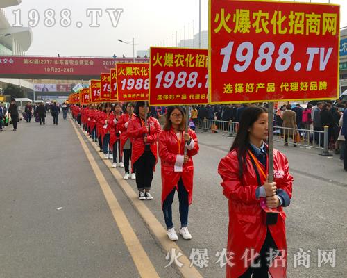 2017ɽ�|ֲ�����ו������c(di��n)ͻ�@��1988.TV�ɽ��c(di��n)��