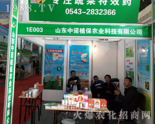 ɽ�|���Zֲ��