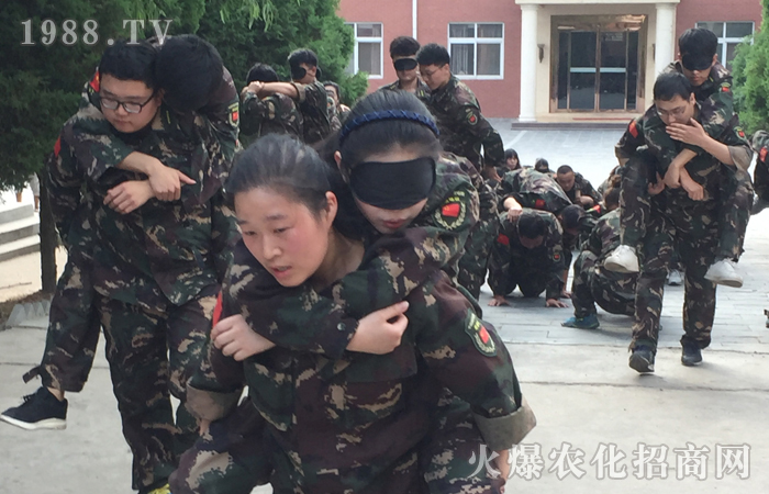 ��֮��������������