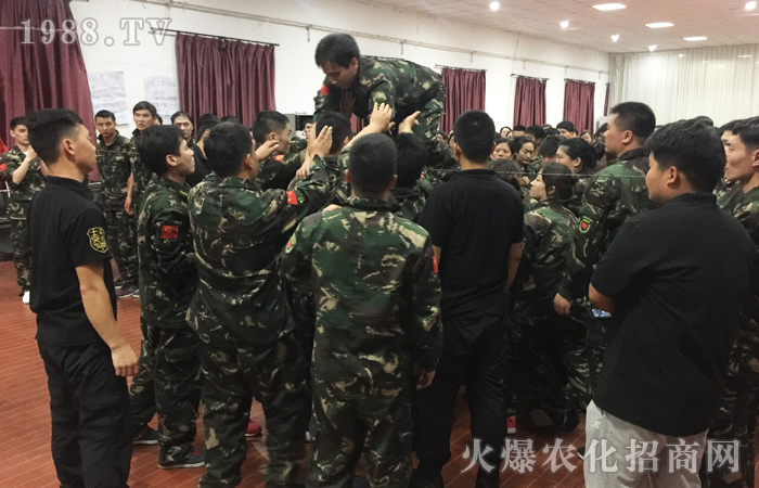 生活如畫,蛻變成你希望的樣子