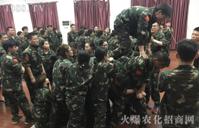 不要盡力而為,只要全力以赴!