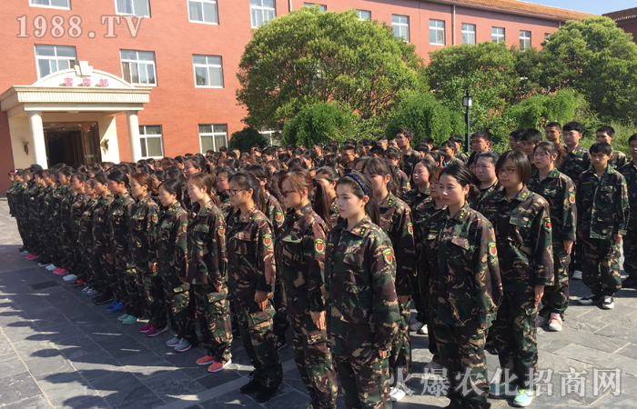  ��Ӗ�����w�����w������������������빤��