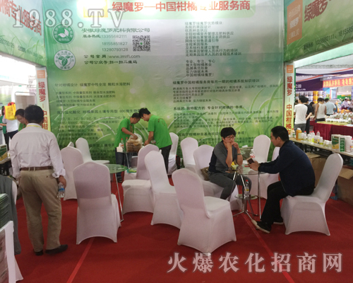 ħ�_¡�������ʮ�Č������r���[��