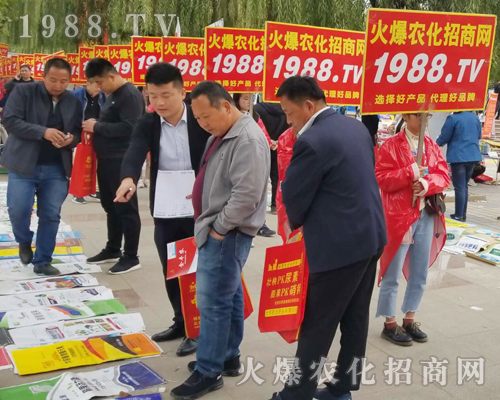     2018ɽ�|��(j��)��ֲ�����ו�(hu��)�����r(n��ng)���W(w��ng)����ֱǰ��