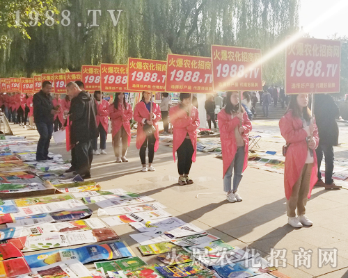     ��24��ɽ�|ֲ���������cͻ�@��1988.TV�ɽ��c��