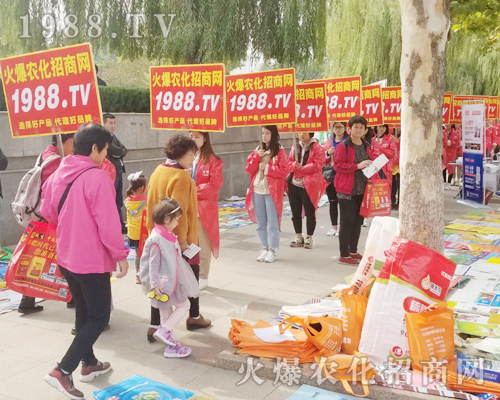     ��24��ɽ�|ֲ�����ו��ϻ��r(n��ng)���W(w��ng)��Ӣ�ɳ�������(zh��n)����